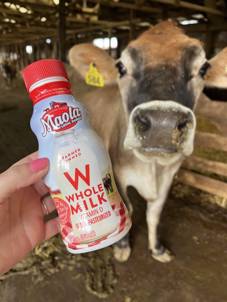 A small bottle of Maola milk is shown to the camera with a cow behind the milk and Linden Hall Farm.