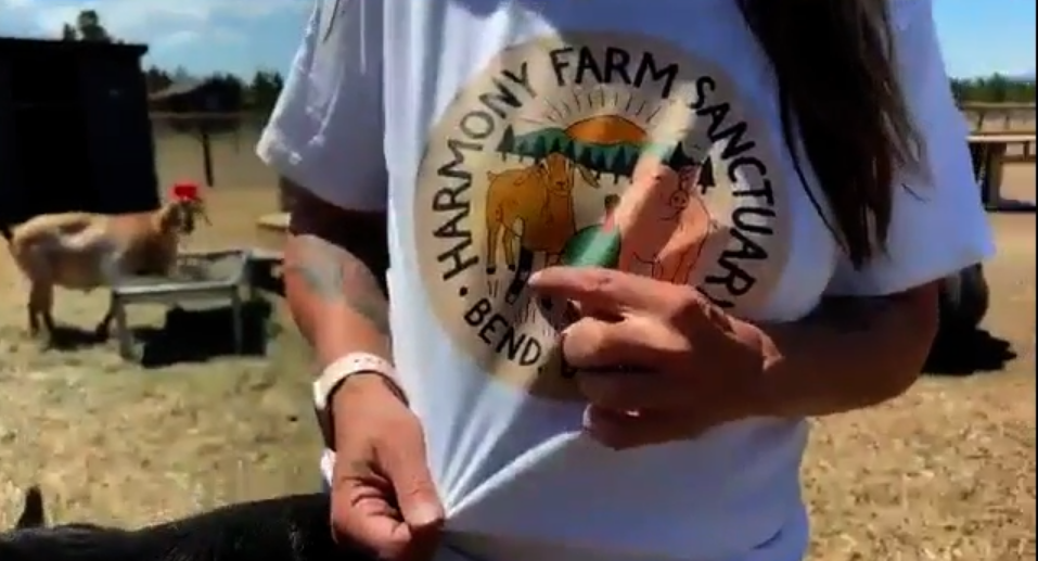 A woman pointing to a logo of farm animals on a white t-shirt.
